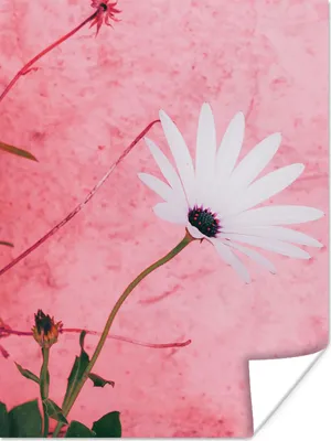 Produktbild von MuchoWow® Poster Blumen - Rosa - Vintage 30x40 cm - Wandplakat - Poster Kinderzimmer