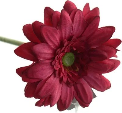 Produktbild von DEKO® FLORALE Gerbera Dunkelrosa Ø 7cm mit 46 cm Stiellänge - Kunstblumen