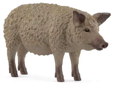 Image de schleich FARM LIFE Wolvarken 14892