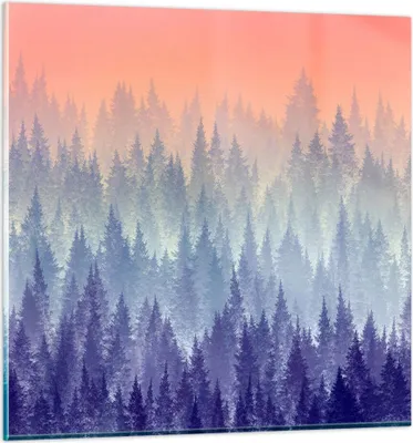 Produktbild von Bilder auf glas - Wald Baum Natur - 70x70cm - Glasbilder - Wandbilder - Kunstdruck - zum Aufhängen bereit - Wanddekoration aus Glas - Glas Bilder - Wandbild auf Glas - Einteilig - GAC70x70-3929