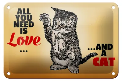 Produktbild von Blechschild Spruch 18x12cm All you need is love and a cat