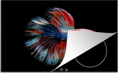Produktbild von KitchenYeah© Herdabdeckplatte Fisch - Meerestier - Schwanz - Blau , 81x52cm, Küche Deko, Glaskeramikkochfeld Herdabdeckung, Abdeckplatte fùr Kochfeld