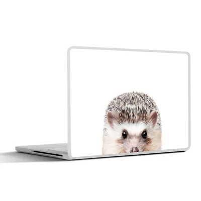 Produktbild von MuchoWow® Laptop Aufkleber Sticker Cover Igel - Tiere - Natur - Weiß 36.5x27.5 cm - Laptop-Sticker