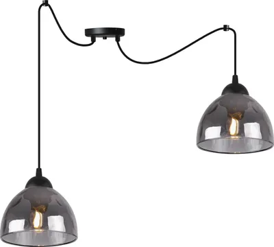 Produktbild von Hängelampe Spinne Venice 2-flammig mit graphitfarbenen Glas Lampenschirmen E27