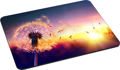 Produktbild von PEDEA Design Mauspad 22 x 18 cm, dandelion