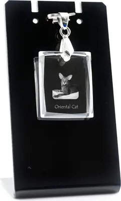 Image de Orientální kočka - Pendentif chat en cristal, collier photo, bijou unique par Art-Dog