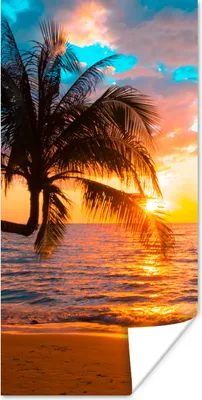 Produktbild von MuchoWow® Poster Palme - Sonnenuntergang - Horizont - Strand - Meer - Tropisch 20x40 cm - Plakat - Foto