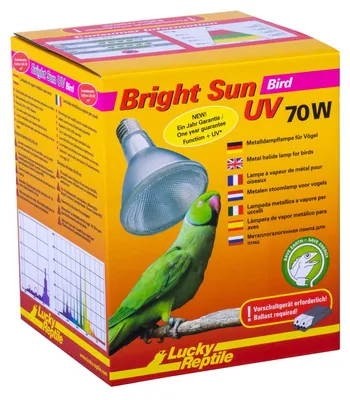 Produktbild von Lucky Reptile Bright Sun UV Bird (70 Watt)
