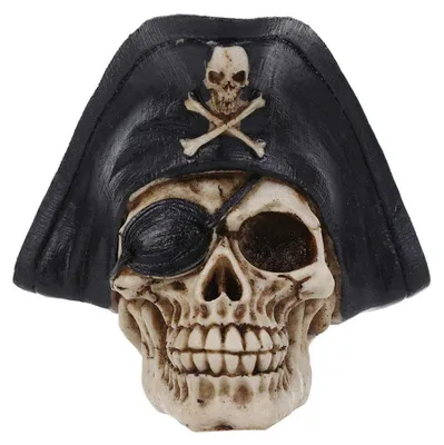 Productafbeelding van Zwarte piratenhoed met schedel, geschikt voor Halloween en bruikbaar als decoratie voor een bar