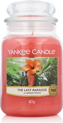 Produktbild von Yankee Candle The Last Paradise, Rund, Pink, 150 h, 1 Stück(e)