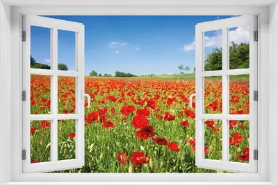 Produktbild von Wallario selbstklebendes Poster mit Fenster-Illusion - Mohnblumenfeld- rote Blumen unter blauem Himmel, Größe: 100 x 150 cm