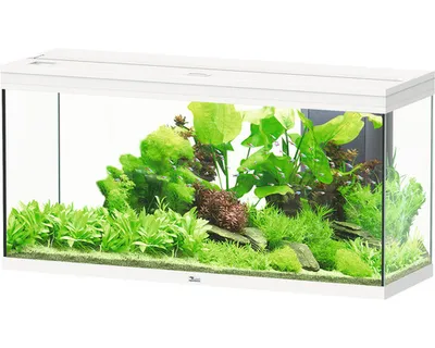 Produktbild von Aquarium aquatlantis Splendid 240 inkl. Beleuchtung, Filter weiß