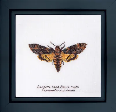 Produktbild von Thea Gouverneur Kreuzstich Stickpackung "Totenkopfschwärmer Aida", Zählmuster, 21x21cm