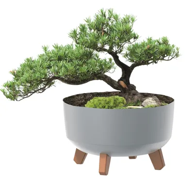 Image de Pot de fleurs rond, coupe gris mat, 37,9 cm, hauteur 19,5 cm, capacité 14,3 l, sur pieds avec insert pour une hydratation optimale - décoration parfaite pour votre maison, votre jardin ou votre