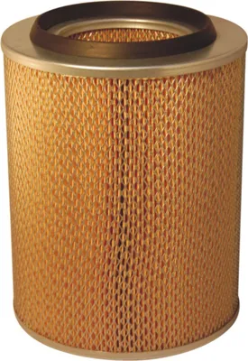 Produktbild von Luftfilter FILTRON AM 411 Filtereinsatz
