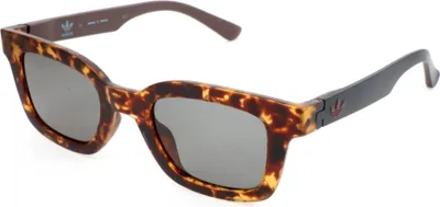 Produktbild von Adidas AOR023 CL1656 Havana brown and black 48/22/145 Uni Sonnenbrillen