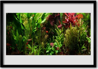 Produktbild von Bild 100x70 MDF-Rahmen Wandkunst Pflanze Blumen Natur