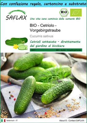 Immagine prodotto di SAFLAX Set regalo -- Cetriolo - Vorgebirgstraube - 15 semi - Cucumis