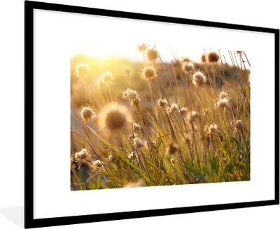Produktbild von MuchoWow® Gerahmtes Poster Pflanzen - Natur - Blumen - Sonne - Horizont 90x60 cm - Poster mit Schwarzem Bilderrahmen Wandposter Rahmen Foto Bilder - Wanddekoration - Fotos
