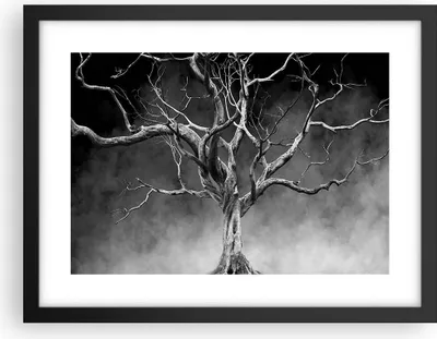 Produktbild von Gerahmtes Poster - Schwarzer Rahmen - Schwarzweiß Äste Rauch - 40x30 cm - Wand Bild - Wanddeko - Wandbilder - Kunstposter - Wandposter - Bilderrahmen - Bilder - Kunstdruck - Wandbild - P2BAA40x30-4346