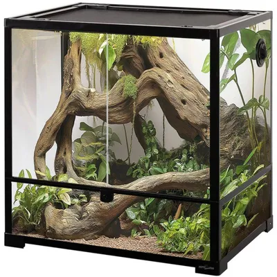 A terrarium with plants and driftwood inside, presented against a white background.