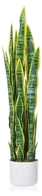 Obrázok produktu pre Umelo vyzerajúca rastlina "had" v kvetináči - umelá rastlina Sansevieria na podlahu - výška 90 cm - plast - vhodná do interiéru aj exteriéru - dekorácia do obytných priestorov a kancelárií - zelená