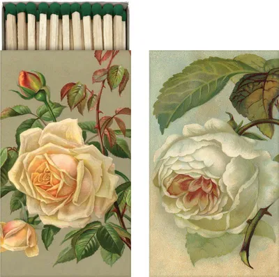 Image de Assortiment de cadeaux de roses jaunes