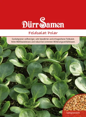 Produktbild von Feldsalat Polar | Feldsalatsamen von Dürr Samen