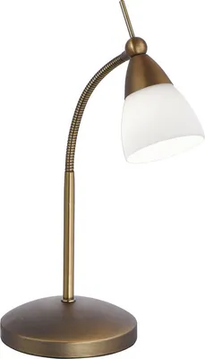 A desk lamp with a flexible arm and a frosted glass shade.