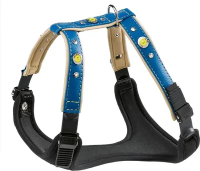 Zdjęcie produktu dla Ferplast Arnes Circus P M Blau