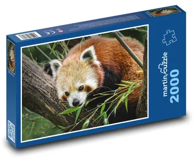 Obrázek produktu pro martinpuzzle - Puzzle 2000 - Panda na stromě