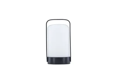 Image de Fern lampe de table LED pour l'extérieur noir.