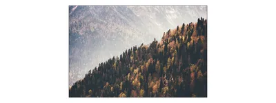 Produktbild von Muralo Fototapete Gebirge 180 (B) x 120 (H) cm Vlies Tapete Wandtapeten Berge Wald Ausblick Wohnzimmer Schlafzimmer moderne Wandbilder XXL Natur Landschaft Panorama Wand Dekoration
