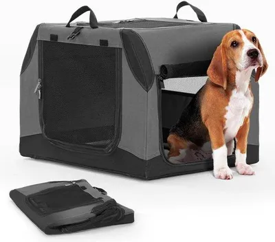 Produktbild von Famanu Transportbox für Hunde - Faltbar, grau, Größe M