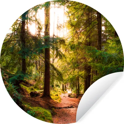 Produktbild von MuchoWow® Runde Wandtattoo - Wandsticker Tapete Aufkleber Wald - Weg - Bäume - Grün - Sonne - Natur Ø 100 cm Selbstklebend und Repositionierbar - Wandaufkleber - Kreis - Tapetenkreis - Wandbild rund - Schlafzimmerdekoration - Wanddeko - runde Tapete - Kunst für zu Hause