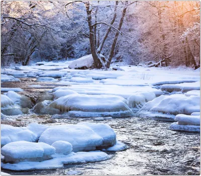 Produktbild von Spritzschutz Herdabdeckplatte Schneidebrett aus Glas Winterlandschaft am Fluss 1-Teilig (60x52cm)