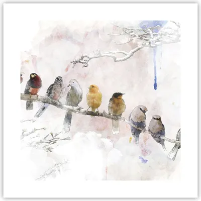 Produktbild von Poster - Poster ohne Rahmen - Vögel Kanarienvogel Zweig - 40x40 cm - Wand Bild - Wanddeko - Wandbilder - Kunstposter - Wandposter - Bilder - Kunstdruck - Wanddekoration - Wandbild - P2XAC40x40-4175
