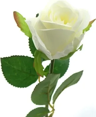 Produktbild von GASPER Rosenblüte Weiß 45 cm - Kunstblumen