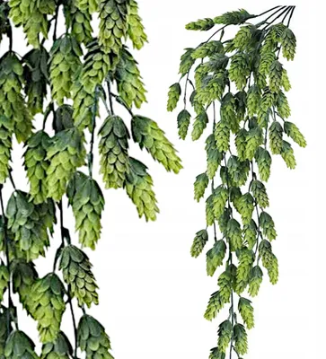 Produktbild von Griny Künstlicher Hopfen Ranke mit Zapfen Girlande