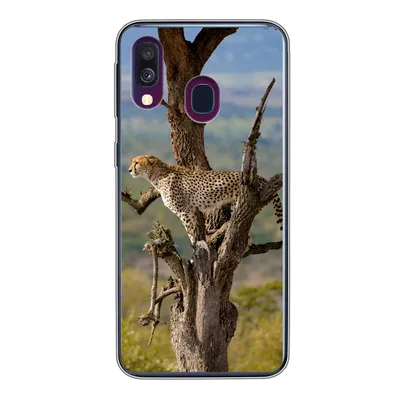 Produktbild von MuchoWow® Handyhülle Schutzhülle Hülle für Samsung Galaxy A40 Leopard - Baum - Tier Silikon Softcase Handy Hülle - Handy-Tasche