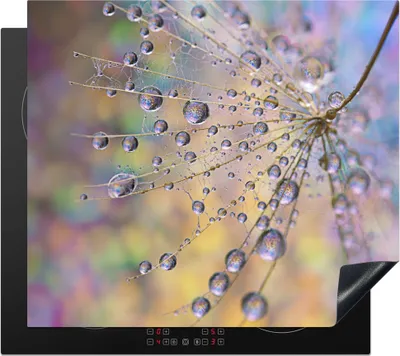Produktbild von KitchenYeah© Herdabdeckplatte Wassertropfen auf einer Pusteblume , 59x51cm, Küche Deko, Glaskeramikkochfeld Herdabdeckung, Abdeckplatte fùr Kochfeld