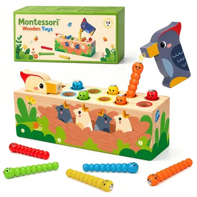 Immagine prodotto di Giocattoli Montessori per bambini dai 1, 2 e 3 anni: giocattoli per lo sviluppo della motricità, giocattoli magnetici, giocattoli in legno per l'ordinamento per colori, giocattoli sensoriali per l'apprendimento