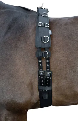 Immagine prodotto di Cinghia da lavoro HKM con imbottitura in Softopren, nera, per pony