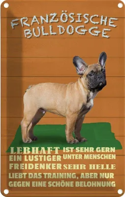 Produktbild von vianmo Blechschild 30x20 cm Französische Bulldogge Hund Tier Haustier