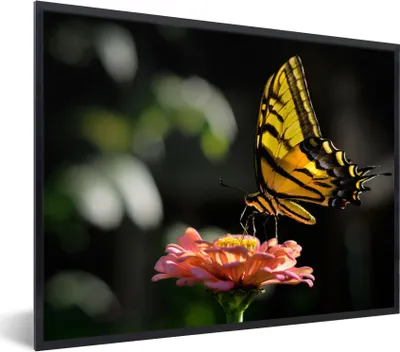 Produktbild von MuchoWow® Gerahmtes Poster Schmetterling - Botanisch - Blume 40x30 cm - Poster mit Schwarzem Bilderrahmen Wandposter Rahmen Foto Bilder - Kunstposter - Wanddekorationen