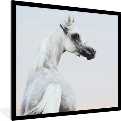 Produktbild von MuchoWow® Gerahmtes Poster Pferd - Sand - Pastell 40x40 cm - Poster mit Schwarzem Bilderrahmen Wandposter Rahmen Foto Bilder - Mit Rahmen - Wanddekoration Schlafzimmer