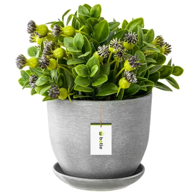 Produktbild von Keramiktopf Pflanztopf Blumenchale Übertopf Pflanzkübel handbemalt D 130 mm beton hell Grau Keramik inkl. Untersetzer Wasserablaufloch