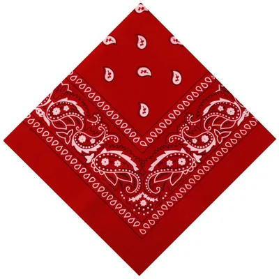 Produktbild von Bandana Paisley Muster 55 x 55 cm Rot Polyester