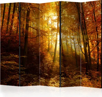 Produktbild von Akusticher Raumteiler Landschaft Foto Paravent 225x172 cm beidseitig auf Vlies-Leinwand bedruckt Akustikschaum Trennwand Spanische Wand Sichtschutz Home Office Wald Botanik Sonne c-B-0139-z-c
