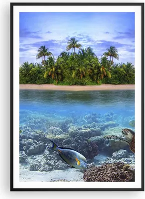 Produktbild von Gerahmtes Poster - Schwarzer Rahmen - Strand lagune wasser ozean - 70x100 cm - Wand Bild - Wanddeko - Wandbilder - Wandposter - Bilderrahmen - Bilder - Kunstdruck - Wandbild - P2BPA70x100-2686